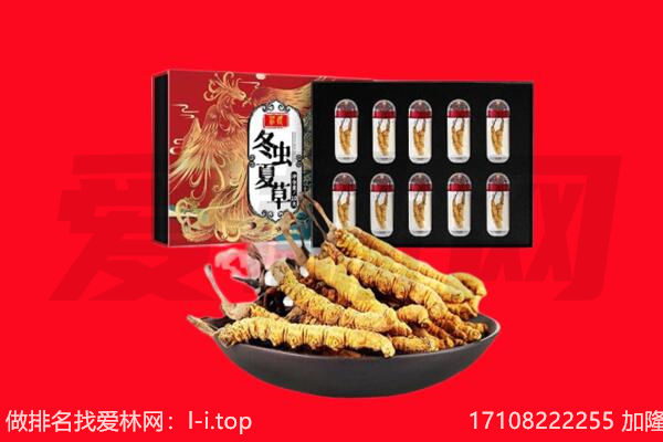 离石区回收虫草.jpg